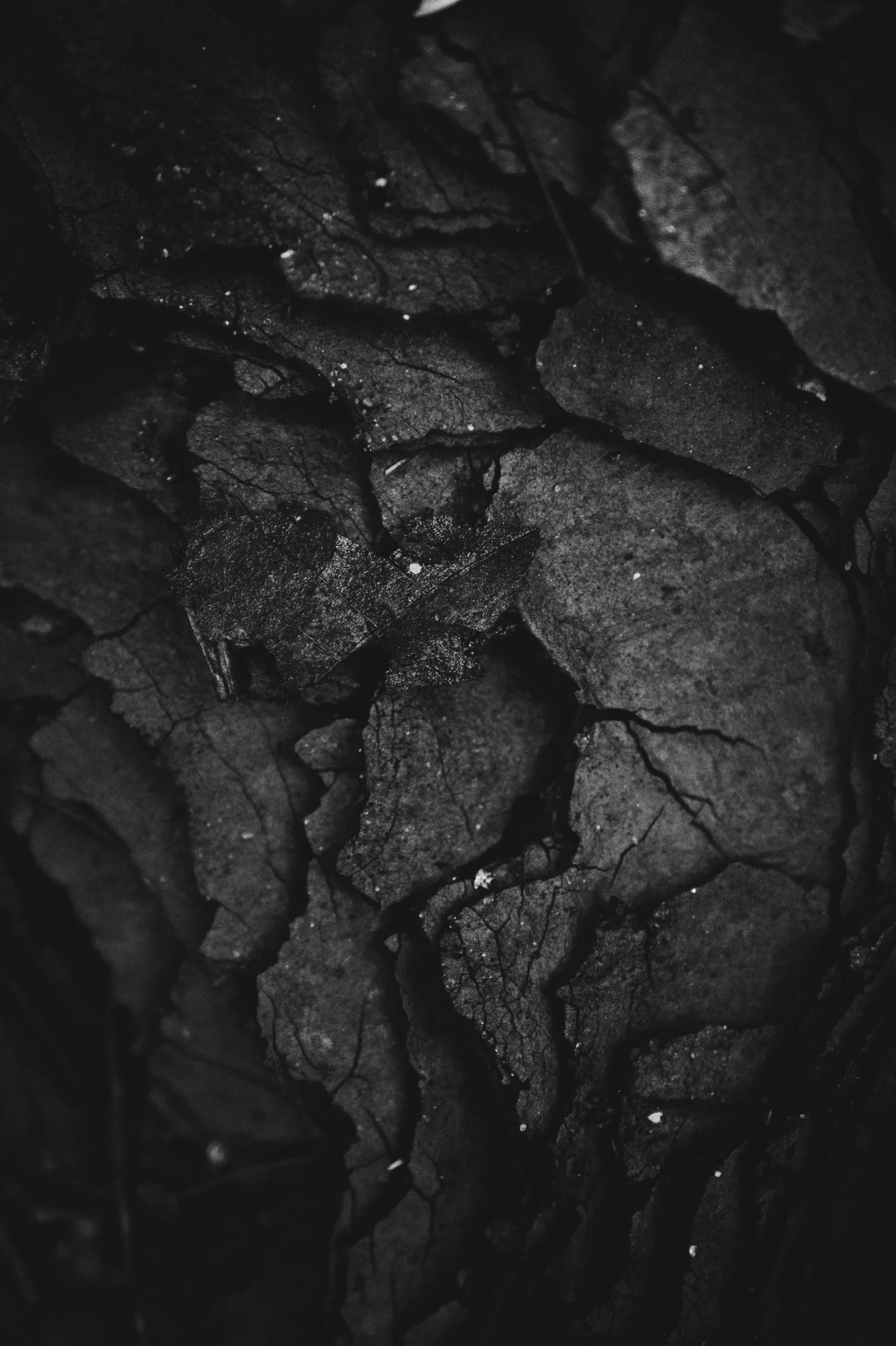 Image article blog