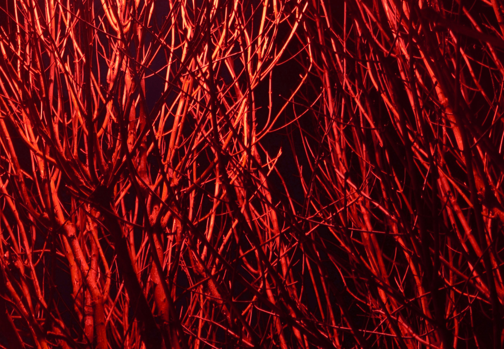 image LB cyber et santé