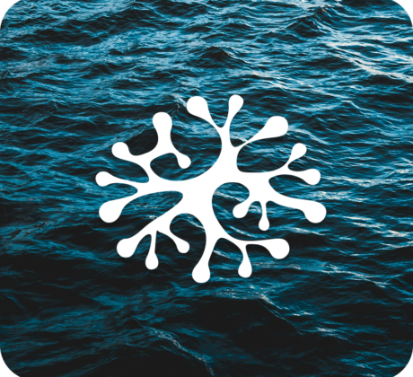 Nereus